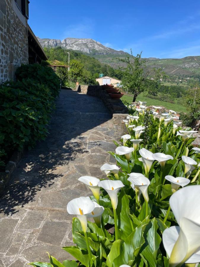 Posada Casa Guadamillas Bustancilles Dış mekan fotoğraf