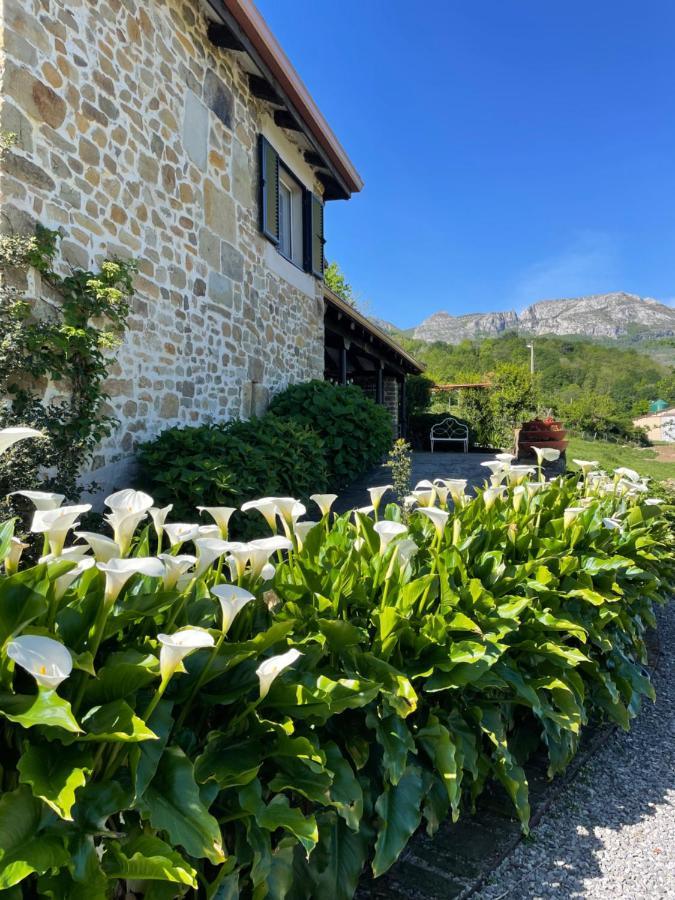 Posada Casa Guadamillas Bustancilles Dış mekan fotoğraf